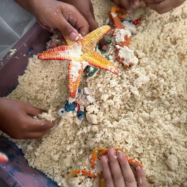 WhatsApp Image 2026-03-04 at 04.01.51 WhatsApp Image 2026-03-04 at 04.01.51